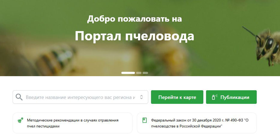 Защита пчел: что изменится с 1 марта